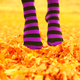 Illustration for article titled Autumn! Cold! Darkness! Halloween!